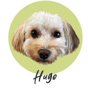 Modern Pet Portraits